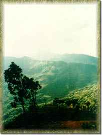 From the Top of Doi Inthanon - On the Other Side is Mae Hong Son Province